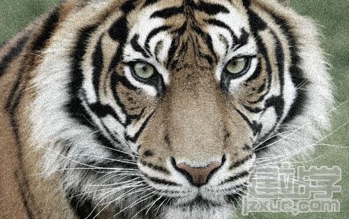 PhotoshopƬЧ