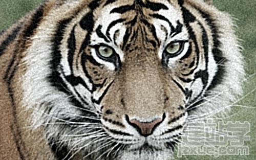 PhotoshopƬЧ